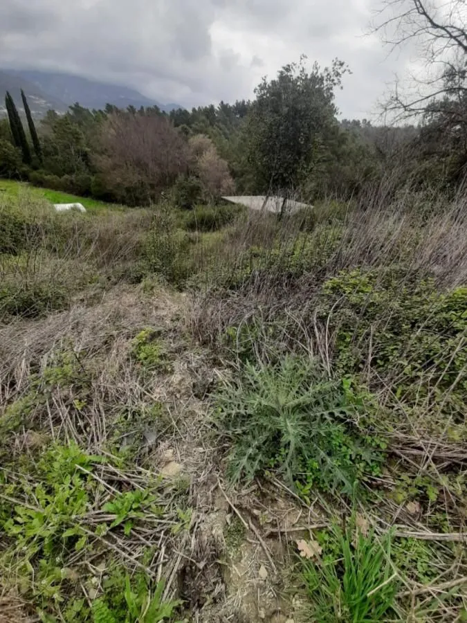 Prodaja, plac, 400m², Tivat, Crna Gora