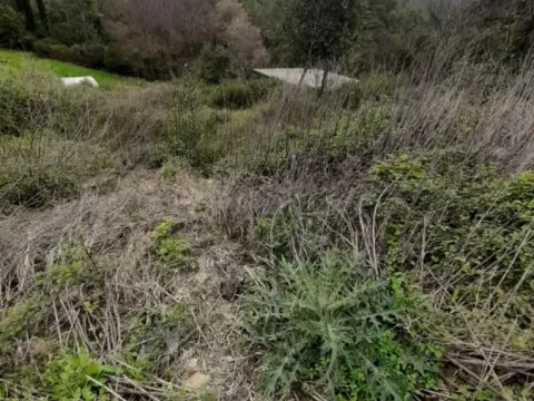 Sale, land lot, 400m², Tivat, Crna Gora