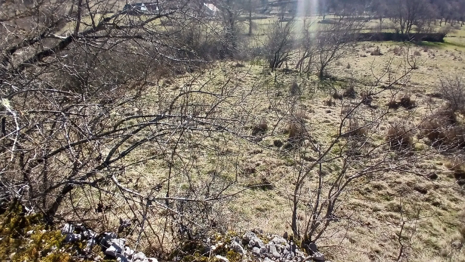Prodaja, plac, 6256m², Čevo, Cetinje