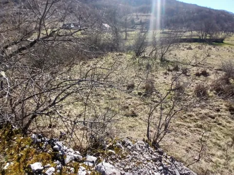 Prodaja, plac, 6256m², Čevo, Cetinje - image 9