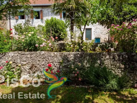 Prodaja, kuća, 250m², Danilovgrad, Crna Gora - image 3