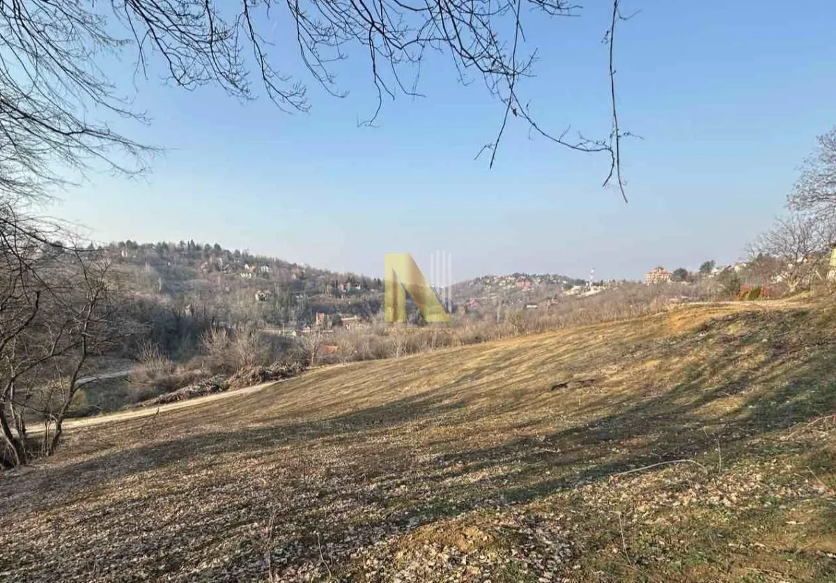 Prodaja, plac, 2966m², Sremska Kamenica, Petrovaradin