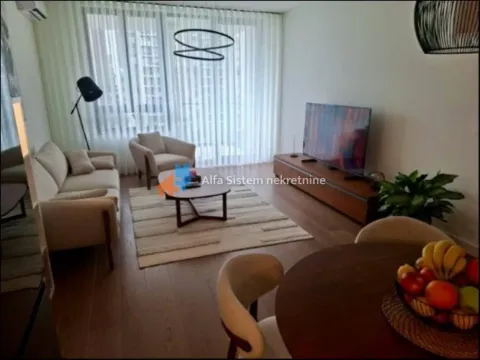 Izdavanje, dvosoban stan, 61m², Savski Venac, Beograd - image 8