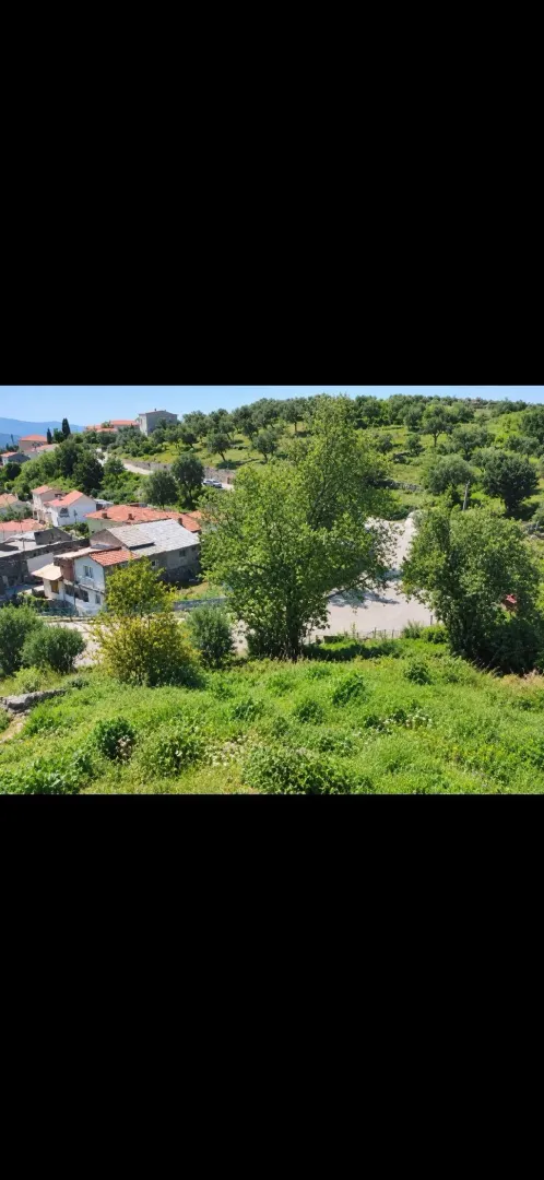 Pogled na okolno zelenilo i kuće u prirodi.