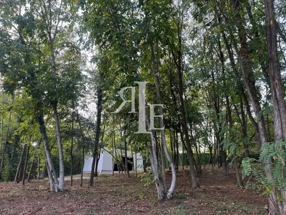 Prodaja, kuća, 270m², Sopot, Beograd