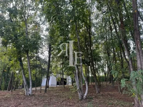 Sale, house, 270m², Sopot, Beograd - image 17