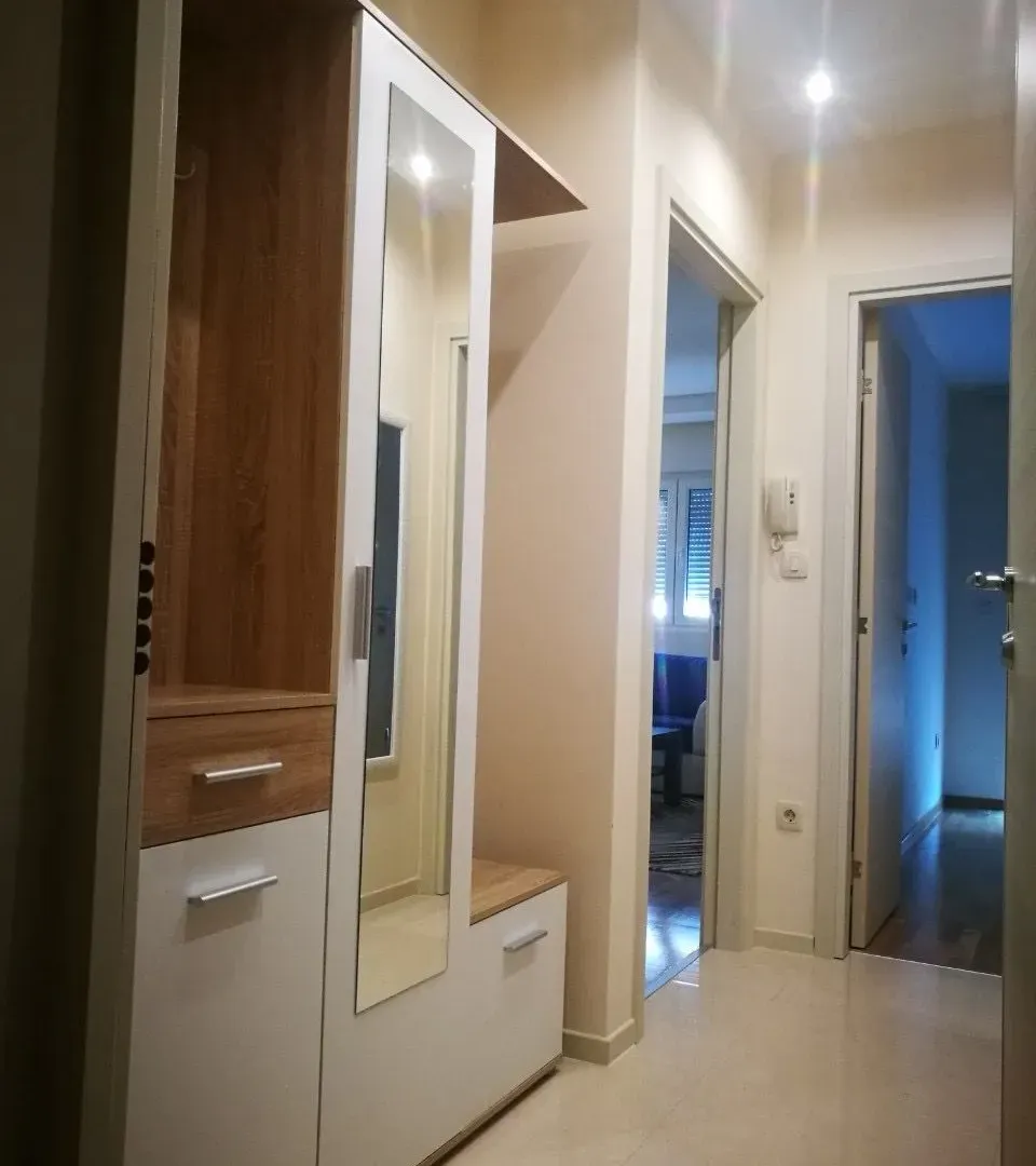 Rent, one bedroom apartment, 42m², Vezirov Most, Podgorica