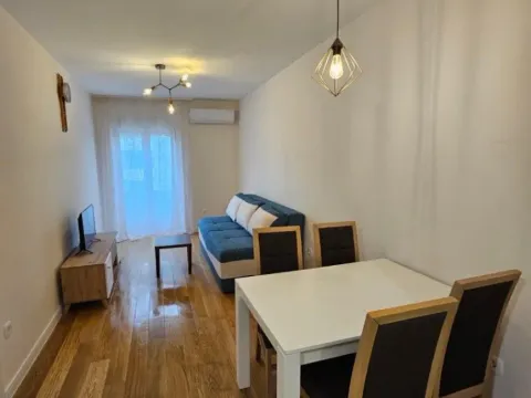 Izdavanje, jednosoban stan, 40m², Central Point, Podgorica - image 5