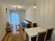 Izdavanje, jednosoban stan, 40m², Central Point, Podgorica - image 5