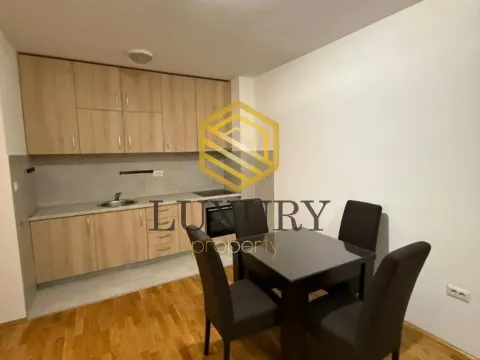 Rent, one bedroom apartment, 46m², Stari Aerodrom, Podgorica - image 4