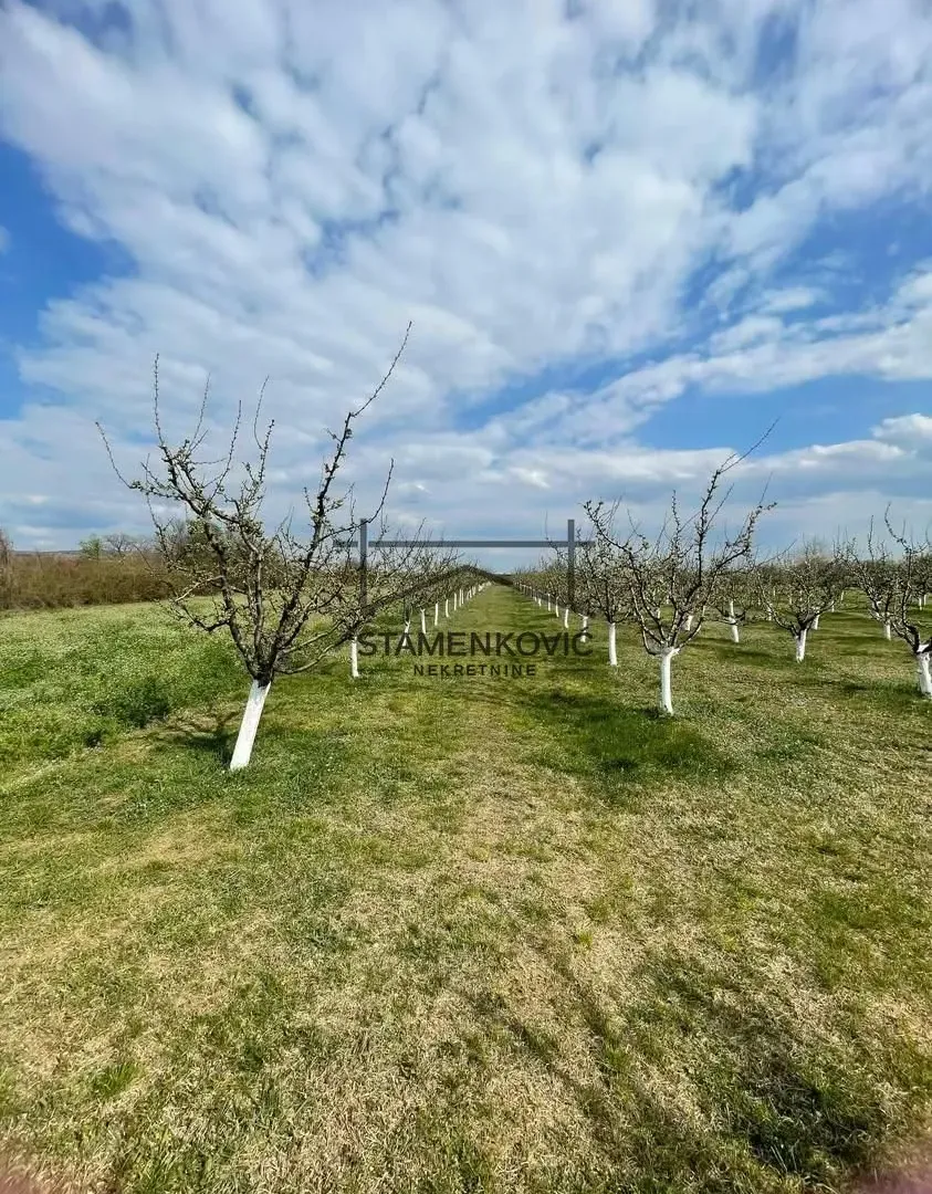 Prodaja, plac, 4636m², Sremska Mitrovica, Srbija