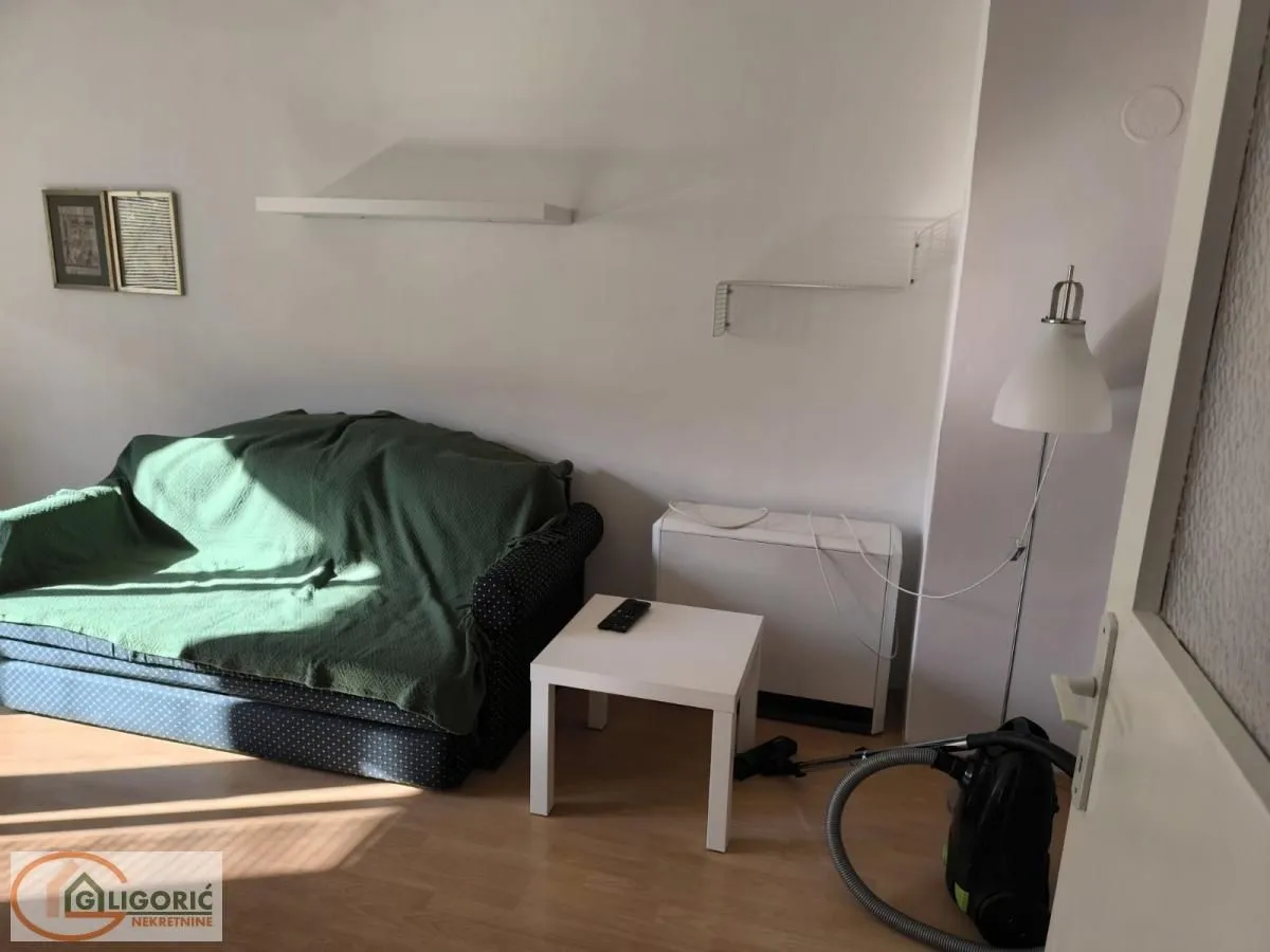 Smaller living room with a sofa, a small coffee table, and a floor lamp.