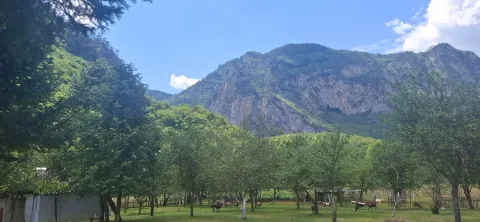 Prodaja, plac, 4000m², Dobrilovina, Mojkovac - image 17