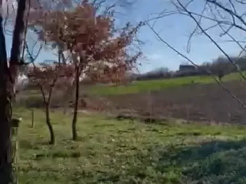 Prodaja, plac, 1600m², Petrovaradin, Novi Sad - image 1