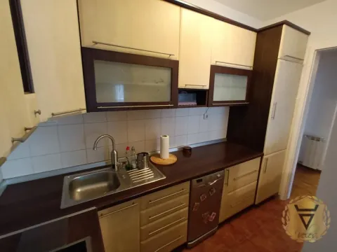 Izdavanje, dvosoban stan, 52m², Vračar Sve Podlokacije, Beograd - image 7
