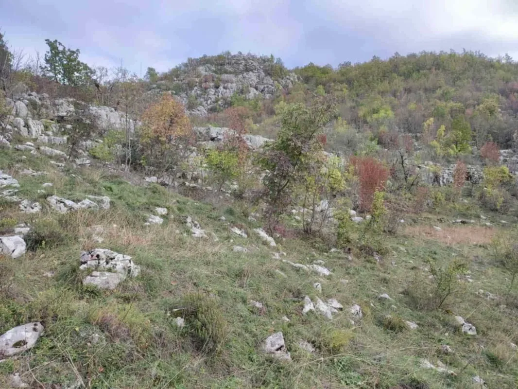 Prodaja, plac, 26000m², Cetinje, Crna Gora