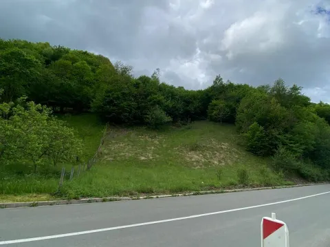 Prodaja, plac, 13789m², Bijelo Polje, Podgorica - image 8