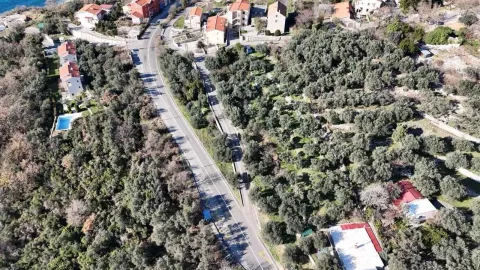 Prodaja, plac, 1648m², Reževići, Budva - image 5