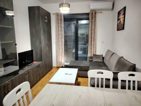 Izdavanje, jednosoban stan, 45m², Zabjelo, Podgorica - image 2