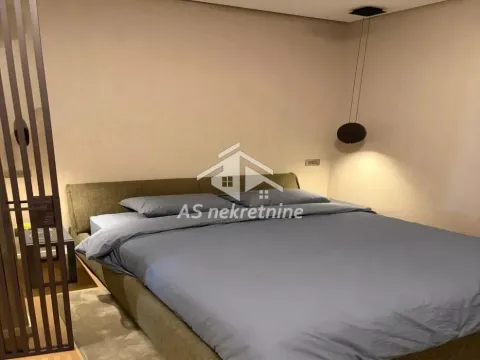 Izdavanje, dvosoban stan, 87m², Vračar Hram, Vračar Sve Podlokacije - image 9
