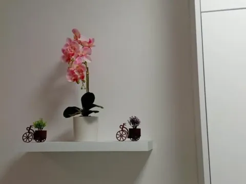 Rent, studio apartment, 33m², Centar, Bar - image 6