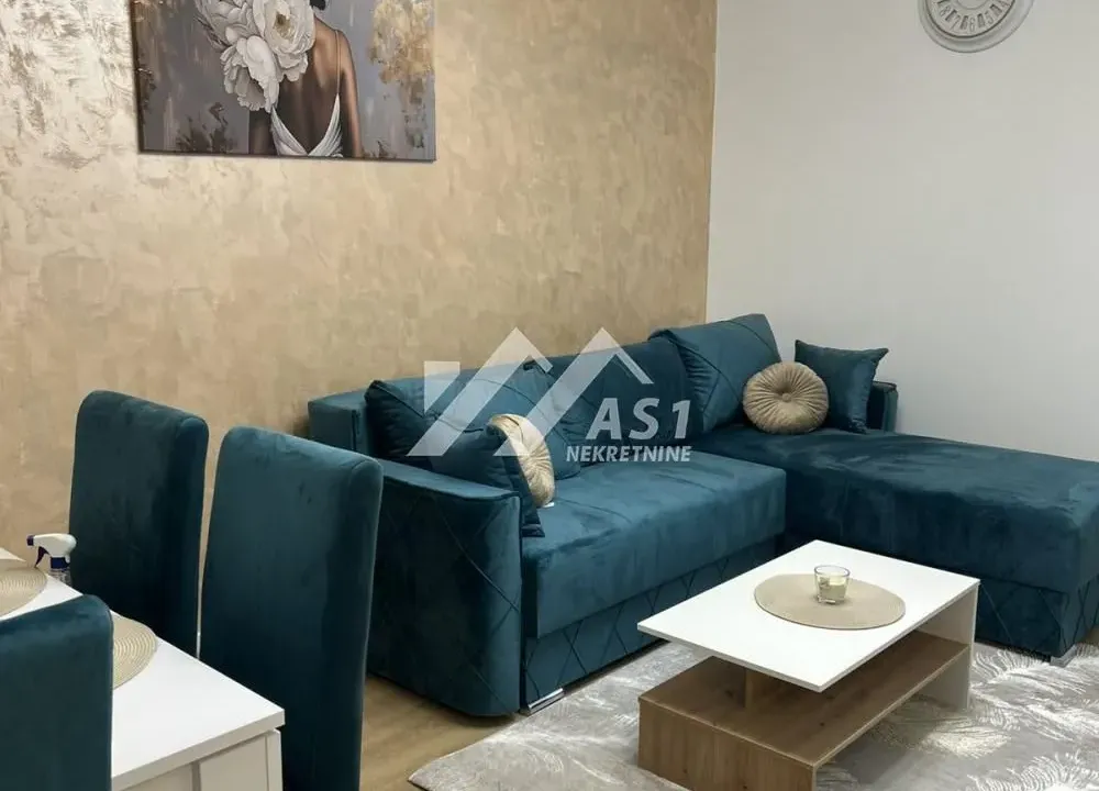 Izdavanje, dvosoban stan, 45m², Veternik, Novi Sad Sve Podlokacije
