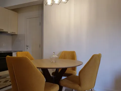 Izdavanje, jednosoban stan, 54m², Central Point, Podgorica - image 9