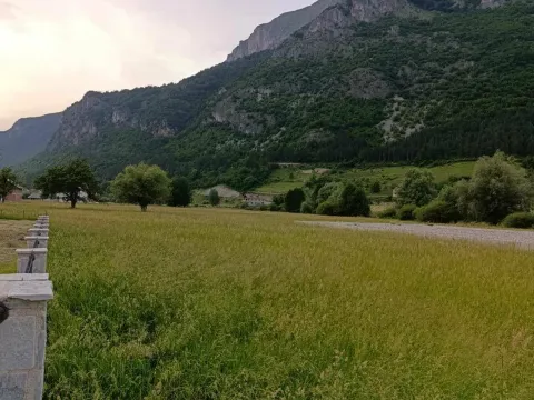 Prodaja, plac, 2500m², Gusinje, Plav - image 4