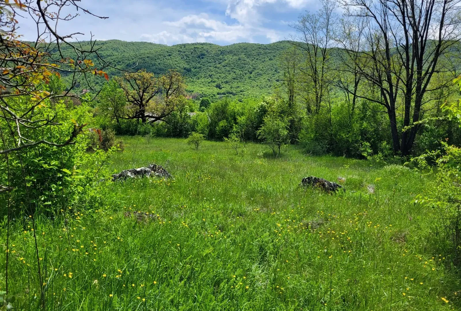 Prodaja, plac, 158798m², Bršno, Nikšić