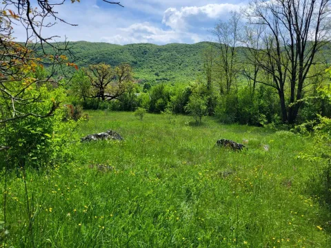 Prodaja, plac, 160000m², Bršno, Nikšić - image 2