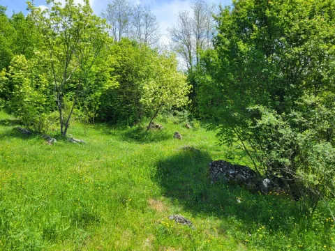 Prodaja, plac, 160000m², Bršno, Nikšić - image 10