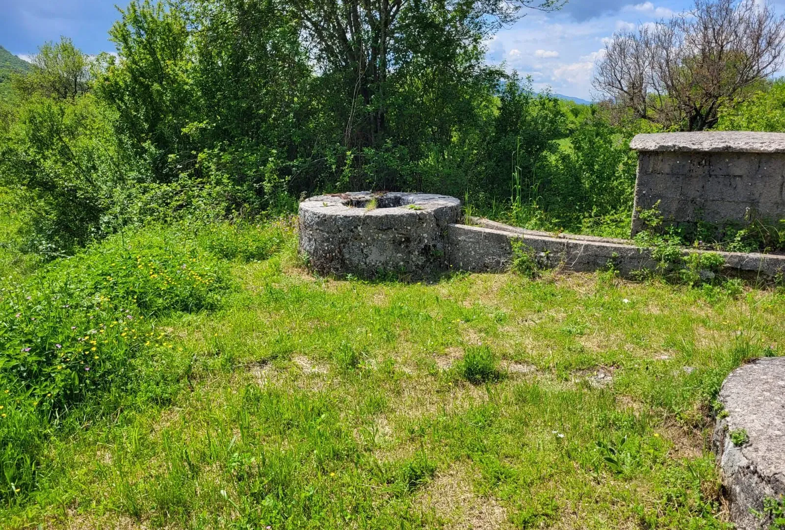 Prodaja, plac, 158798m², Bršno, Nikšić