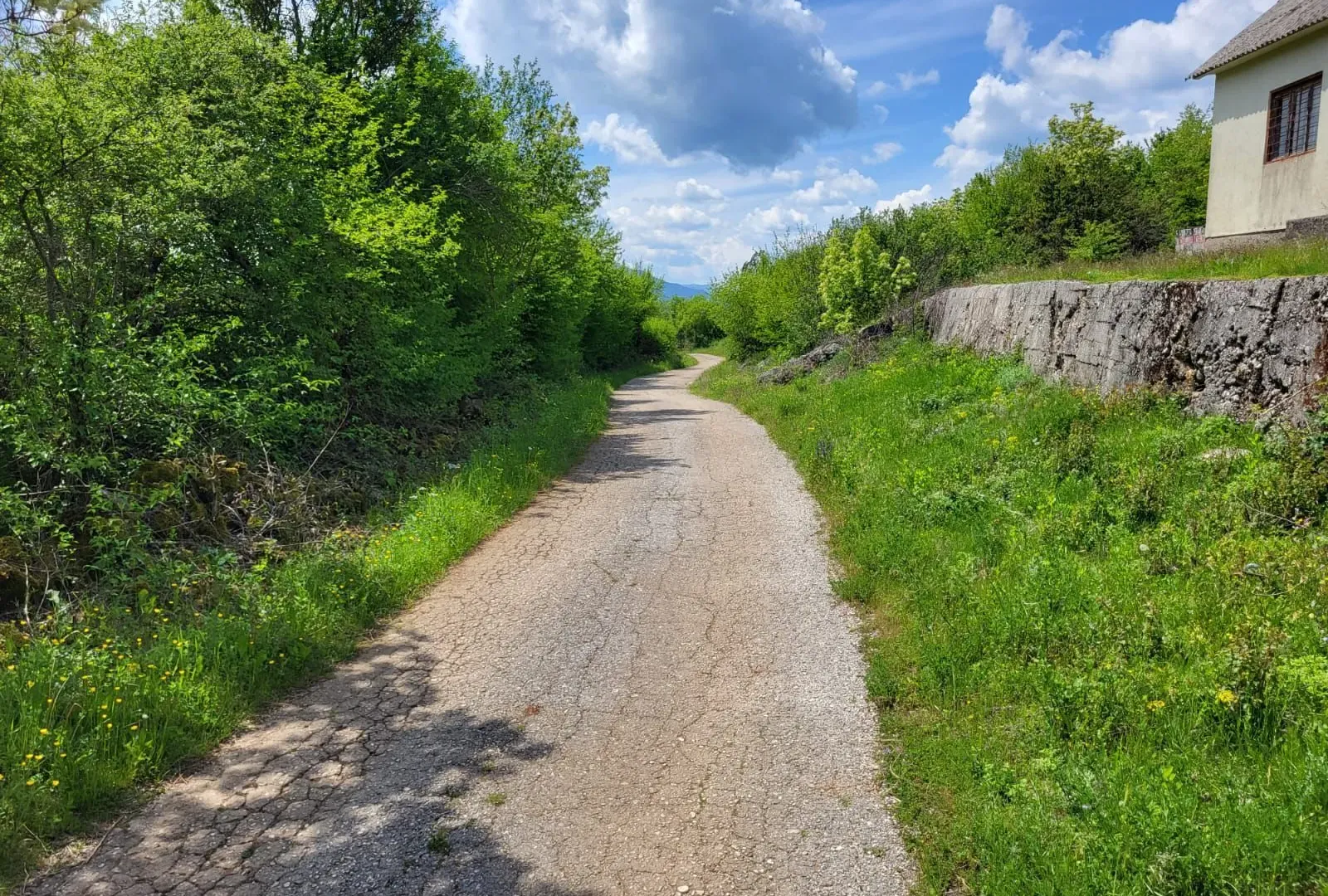Prodaja, plac, 158798m², Bršno, Nikšić