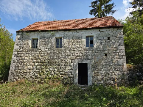 Prodaja, plac, 160000m², Bršno, Nikšić - image 4