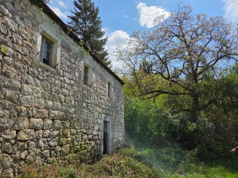 Prodaja, plac, 160000m², Bršno, Nikšić - image 5