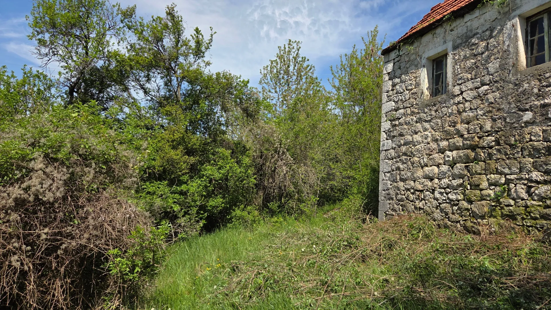 Prodaja, plac, 158798m², Bršno, Nikšić