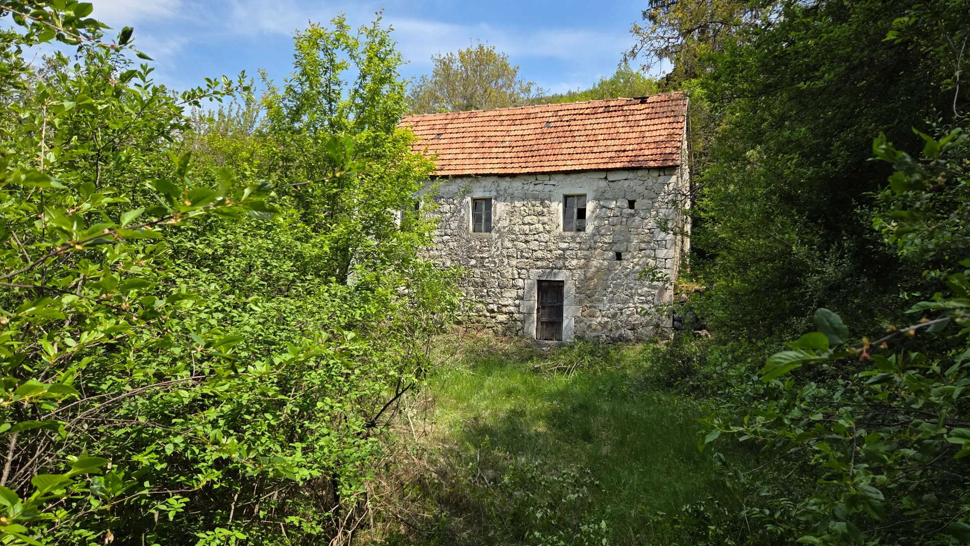 Prodaja, plac, 158798m², Bršno, Nikšić
