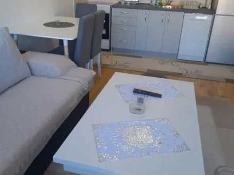 Izdavanje, jednosoban stan, 38m², Zabjelo, Podgorica - image 10