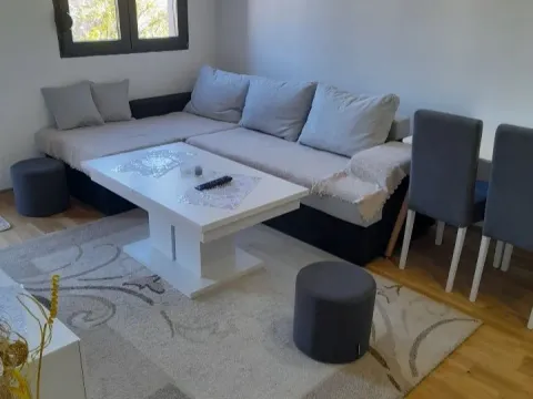 Izdavanje, jednosoban stan, 38m², Zabjelo, Podgorica - image 3