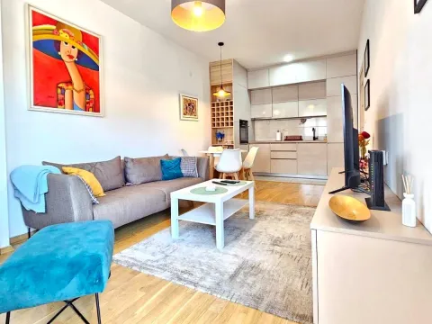 Izdavanje, jednosoban stan, 45m², Blok 6, Podgorica - image 3