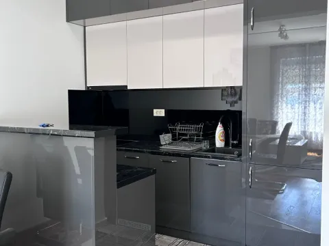 Izdavanje, jednosoban stan, 45m², Zabjelo, Podgorica - image 1