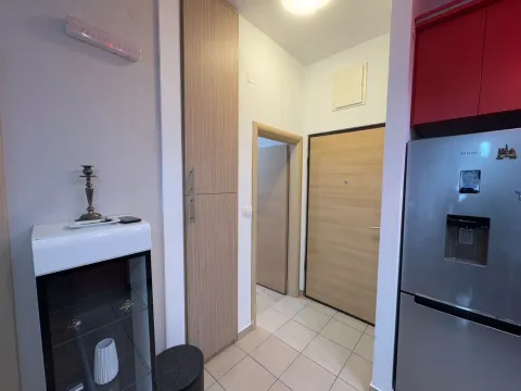 Izdavanje, jednosoban stan, 40m², Ljubović, Podgorica - image 14