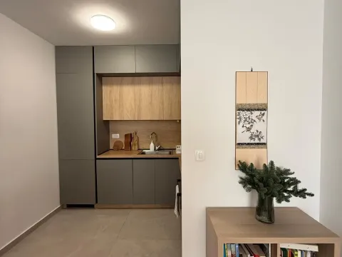 Sale, one bedroom apartment, 48m², New City, Podgorica - image 6