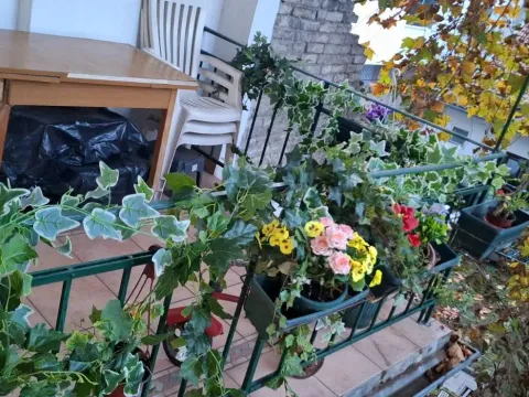 Prodaja, trosoban stan, 104m², Centar, Novi Sad - image 17