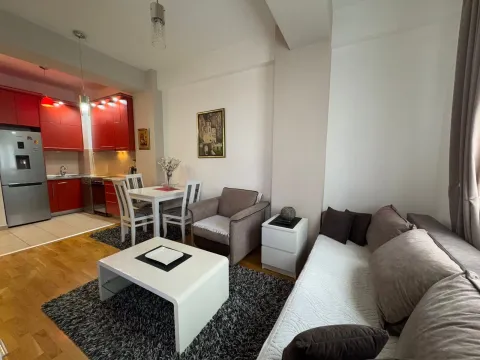 Izdavanje, jednosoban stan, 40m², Ljubović, Podgorica - image 3