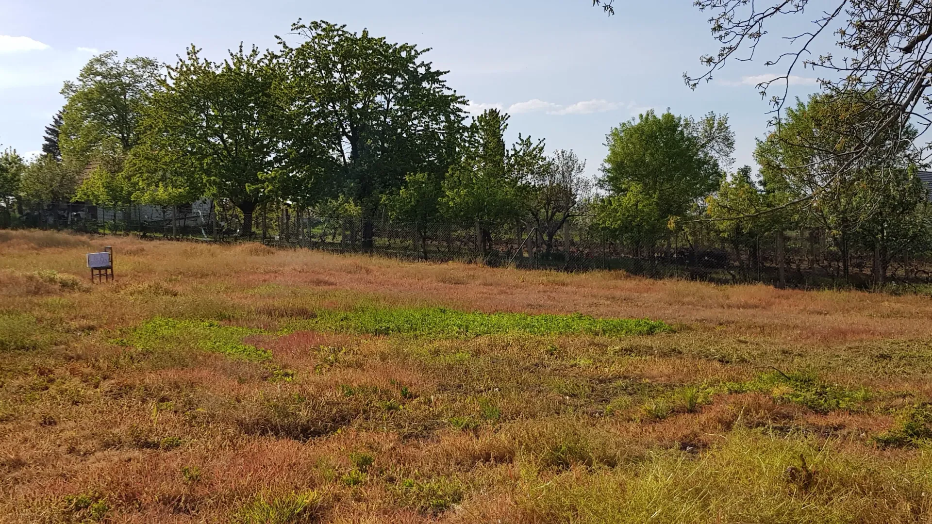 Prodaja, plac, 1700m², Čortanovci, Inđija