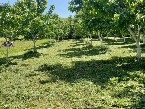 Prodaja, kuća, 130m², Centar, Valjevo - image 20