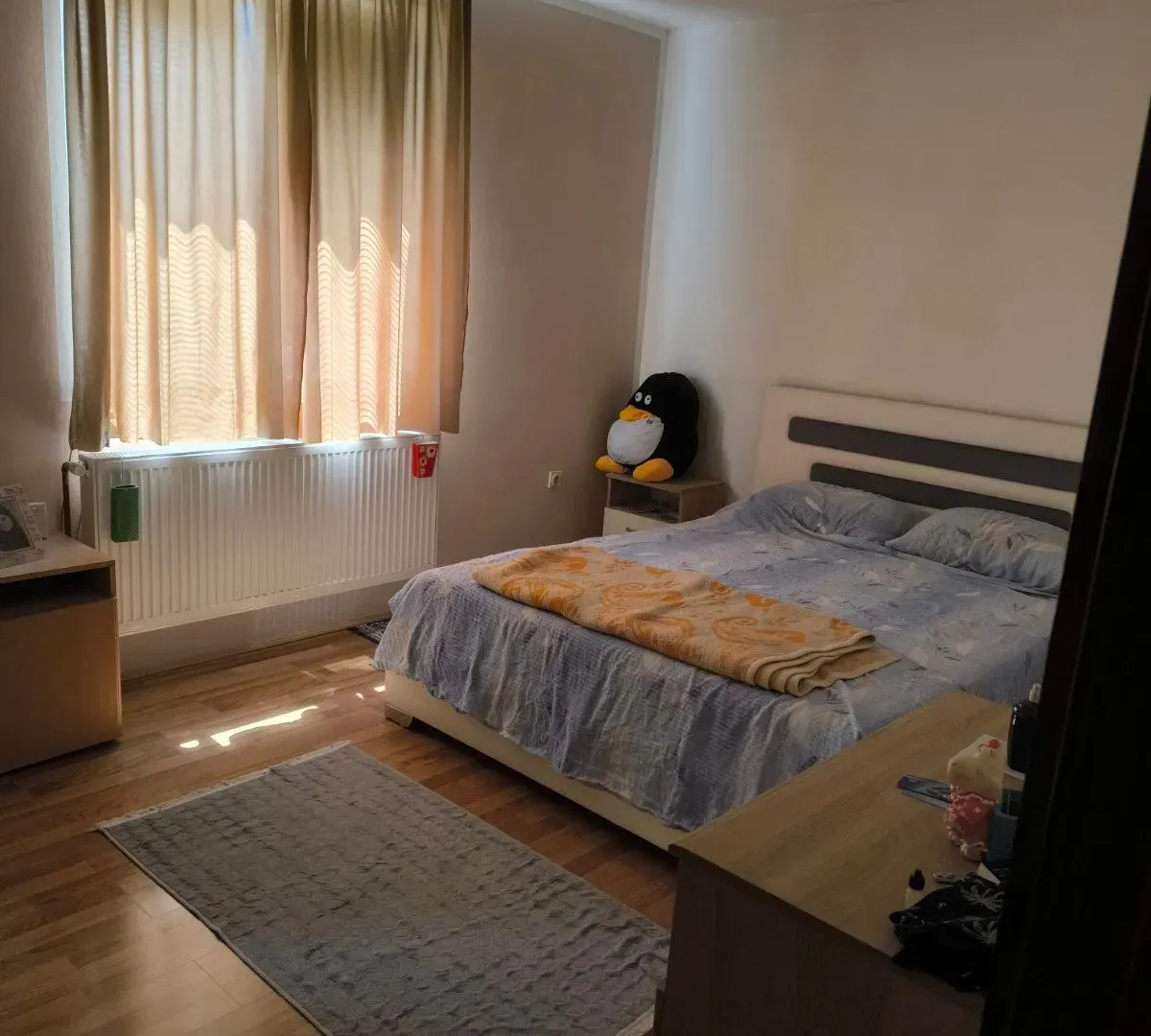 Prodaja, kuća, 280m², Sajlovo, Novi Sad Sve Podlokacije