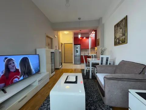 Izdavanje, jednosoban stan, 40m², Ljubović, Podgorica - image 2