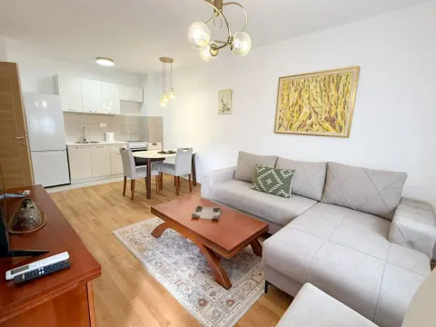 Izdavanje, jednosoban stan, 40m², Stari Aerodrom, Podgorica - image 2